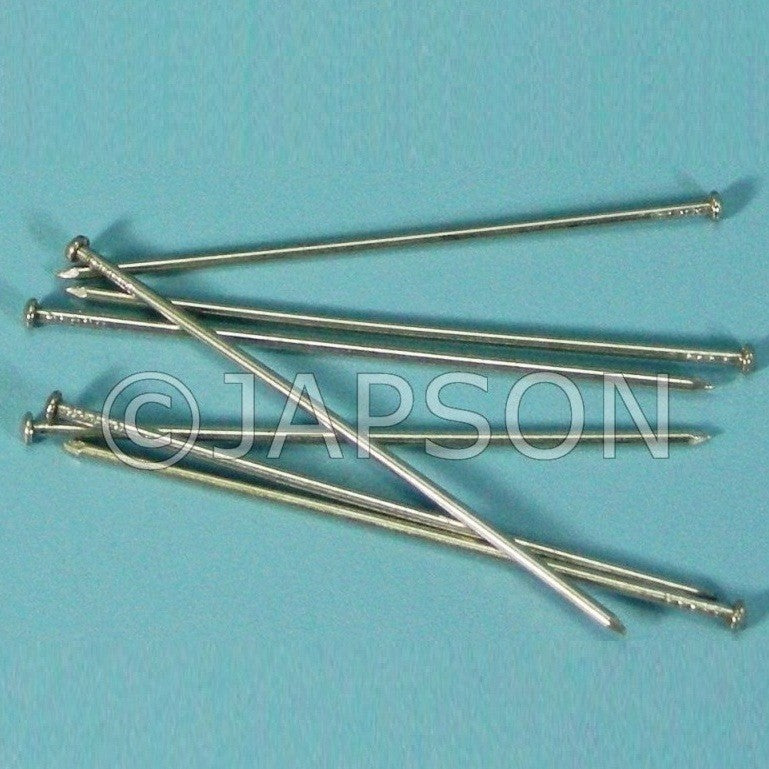 Dissecting Pins Dissecting Pins